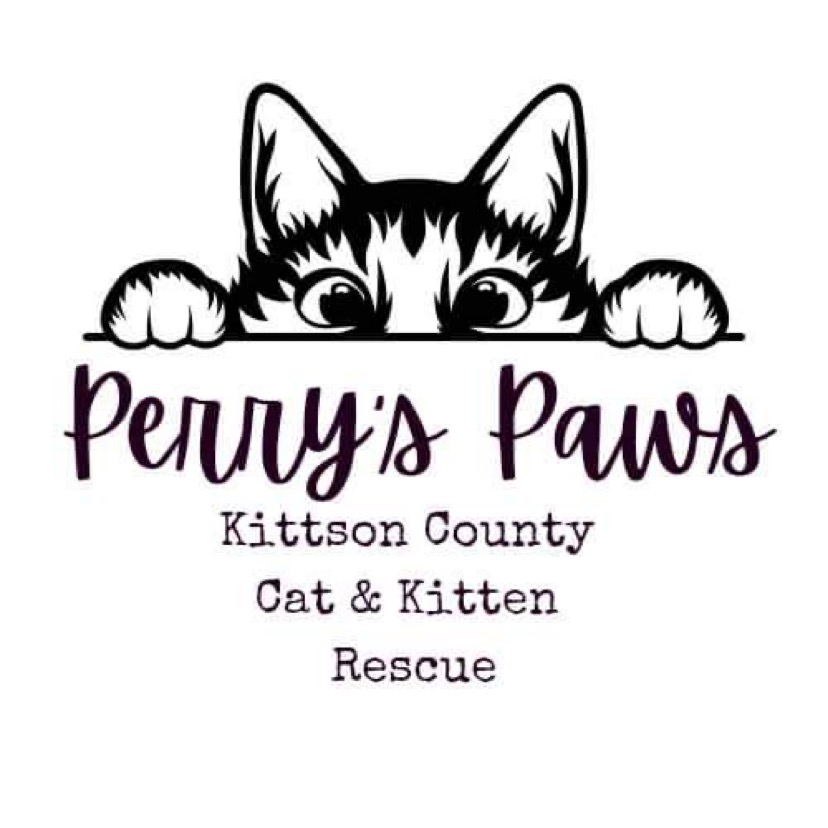 Perry’s Paws: Kittson County Minnesota Feline Rescue and Adoption